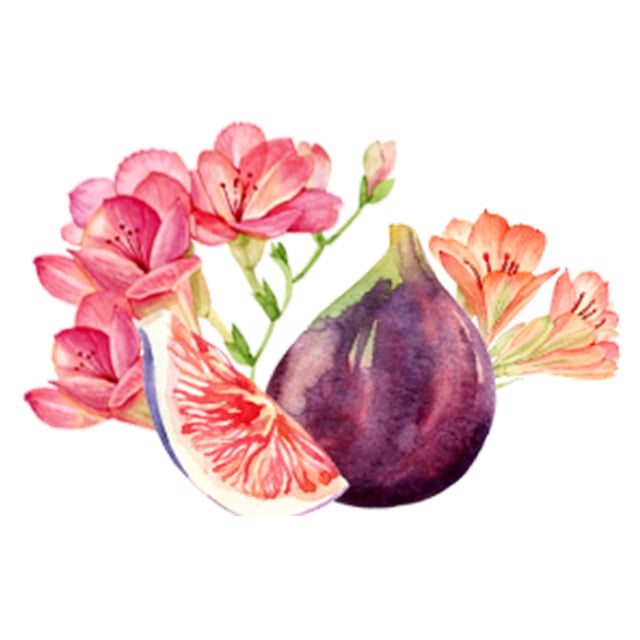 Fig & Freesia