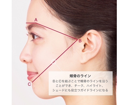 頬骨のライン ⒷとⒸを結ぶことで頬骨のラインを沿うことができ、チーク、ハイライト、シェードにも役立つガイドラインになる