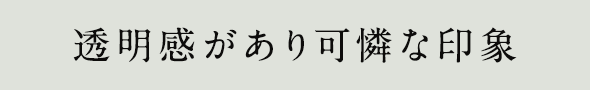 ボタン：選択肢1