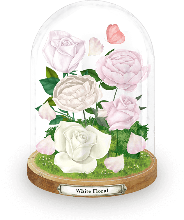 イラスト：ドームに入ったWhite Floralをイメージした花